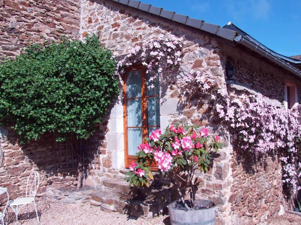 Domaine De Lasfonds Rieupeyroux  Номер фото